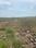 Thiruporur Plot View 2