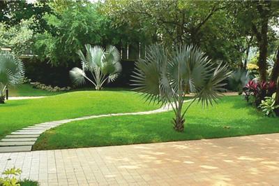 Image of 1500 Sq.ft 3 BHK Apartment / Flat for sale in Nilesh Jai Amba Apartment 16, Navsaari, Amravati for Rs. 5000000