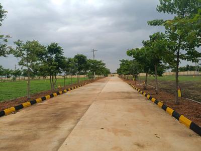 Image of 200 Sq.ft Residential Plot / Land for sale in Prakash Suradru, Rudraram, Sangareddy for Rs. 6200000