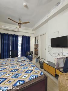 Bedroom Image of 450 Sq.ft 1 BHK Apartment / Flat for rent in Gaurs 14th Avenue, Noida Extension Greater Noida for Rs. 20000