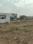 Ghogali Main Image 1