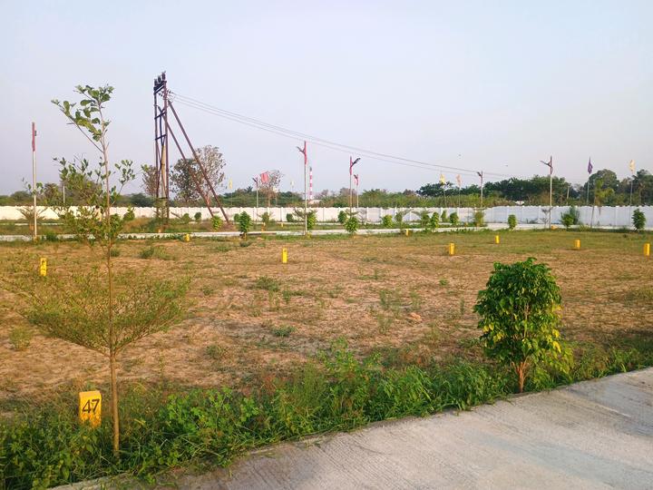 Palur, KAnchipuram Main Image 1