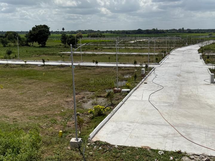 Landlords plots Main Image 1