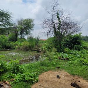 Image of 1350 Sq.ft Residential Plot / Land for sale in Sukhravali, Aligarh for Rs. 950000