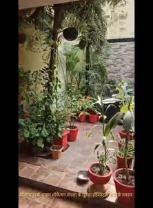 Image of 1400 Sq.ft 4 BHK Independent House for sale in Hemu Nagar, Bilaspur for Rs. 4000000
