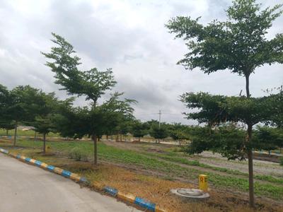 Image of 180 Sq.ft Residential Plot / Land for sale in Sangareddy Town, Sangareddy for Rs. 3700000