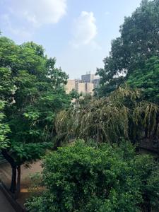 Image of 1400 Sq.ft 3 BHK Apartment / Flat for sale in Jasola, New Delhi for Rs. 36500000