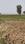 Masaurhi Main Image 1