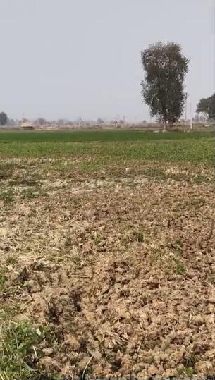 Masaurhi Main Image 1
