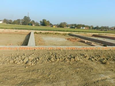 Rohania Plot View 2