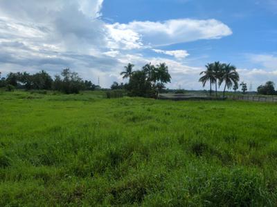 Nest Valley Plot View 2