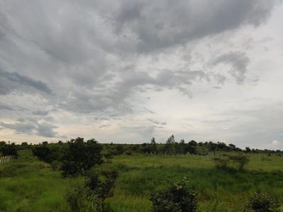 Image of 700 Sq.ft Residential Plot / Land for sale in Vikarabad Town, Vikarabad for Rs. 5600000