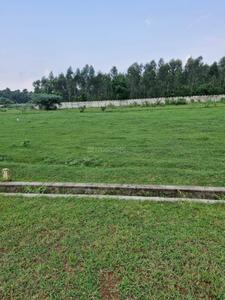 Residential Plot