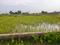 Kisan Path Main Image 1