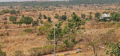 Igatpuri Plot View 3