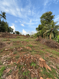 Image of 750 Sq.ft 3 BHK Builder Floor for sale in Peravoor, Kannur for Rs. 295000