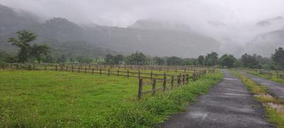 Agricultural Land