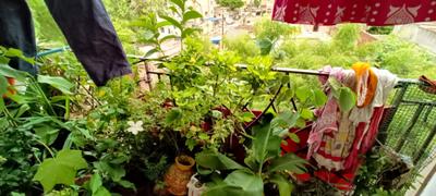 Balcony Image of 1250 Sq.ft 3 BHK Builder Floor for sale in Bhalubasa Jamshedpur for Rs. 3500000
