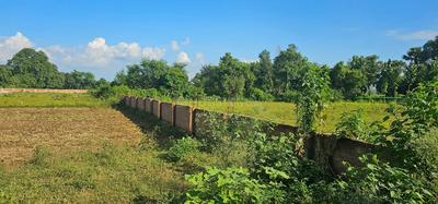 Bihta Plot View 2