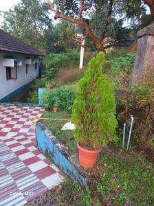 Image of 6675 Sq.ft Residential Plot / Land for sale in Aldona, Goa for Rs. 34500000