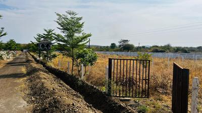Ringanabodi Plot View 1