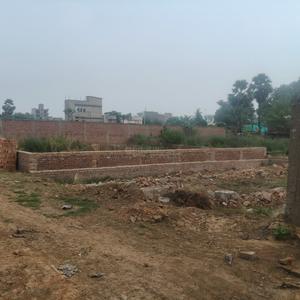 Danapur Nizamat Plot View 1