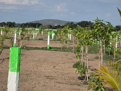 Image of 9600 Sq.ft Residential Plot / Land for sale in Chengalpattu, Chennai for Rs. 2400000