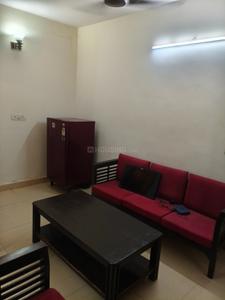 Hall Image of 1100 Sq.ft 2 BHK Builder Floor for rent in Lajpat Nagar New Delhi for Rs. 45000