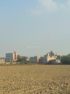 Chhapraula Plot View 2