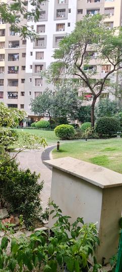 Ekta Oleander Main Image 1