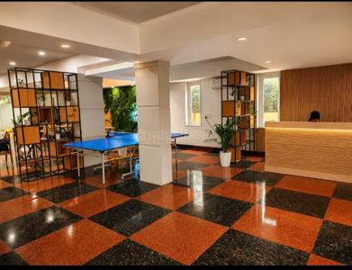 Hall Image of ayush mishra in Sector 41, Gurgaon