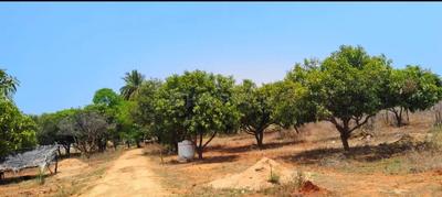 Image of 1089 Sq.ft Residential Plot / Land for sale in Sarde, Navi Mumbai for Rs. 480000