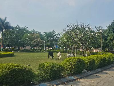 Image of 1000 Sq.ft Residential Plot / Land for sale in Omaxe City AB Bypass Road, Mayakhedi, Indore for Rs. 5500000