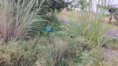 Image of 239 Sq.ft Residential Plot / Land for sale in Jaypee Sportsville, Sector 25 YEIDA, Greater Noida for Rs. 17800000