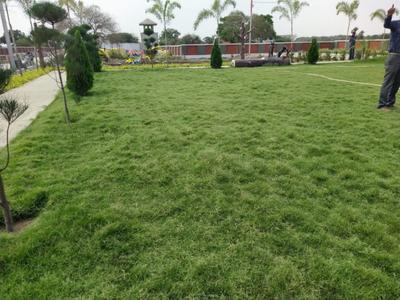 pearl leaf Plot View 1