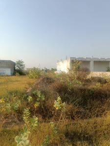 Image of 300 Sq.ft Residential Plot / Land for sale in YEIDA Individual Residential Plots, Yeida, Greater Noida for Rs. 18500000