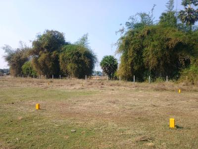 Residential Plot
