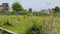Namkum Plot View 2