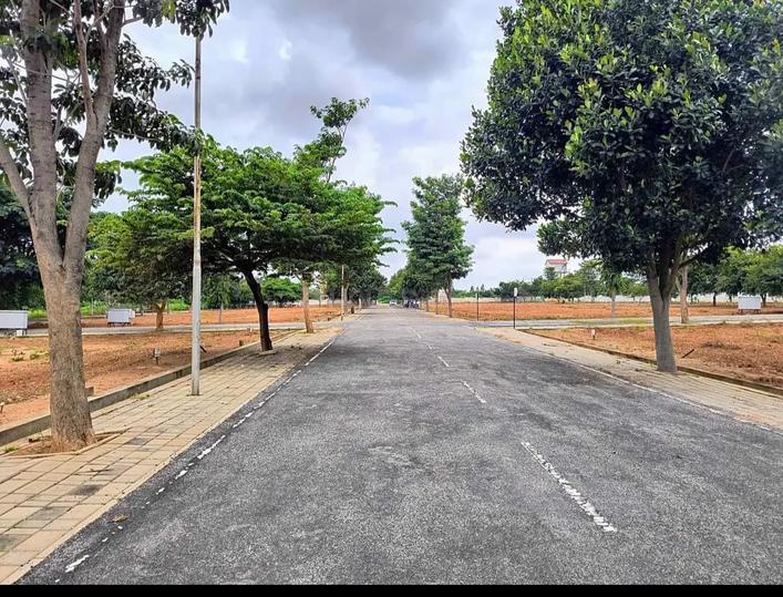 KNS MD LAYOUT Main Image 1