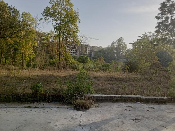 Sinaula Main Image 1