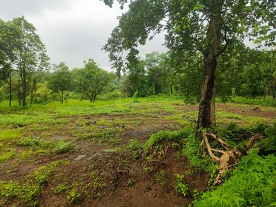 Image of 43560 Sq.ft Residential Plot / Land for sale in Murbad, Thane for Rs. 5400000
