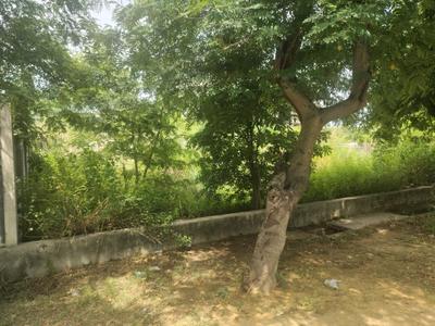 Image of 500 Sq.ft Residential Plot / Land for sale in Eta I, Greater Noida for Rs. 52000000