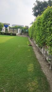 Image of 9072 Sq.ft Residential Plot / Land for sale in Dkrrish Alaska Farms, Nagla Nagli, Noida for Rs. 8500000