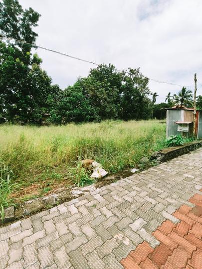 Tripunithura Main Image 1