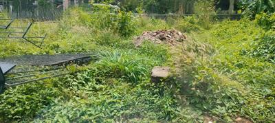 Image of 4356 Sq.ft Residential Plot / Land for sale in Punkunnam, Thrissur for Rs. 4200000