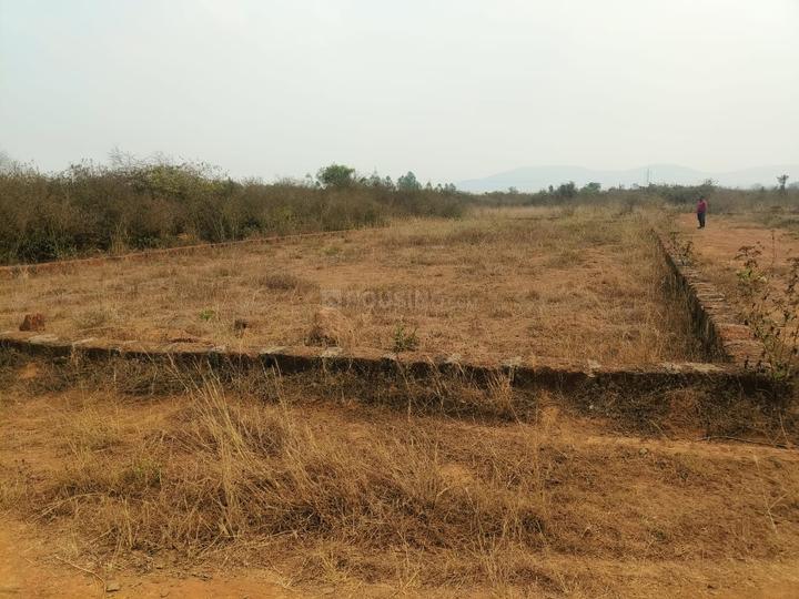 Pitapalli Main Image 1