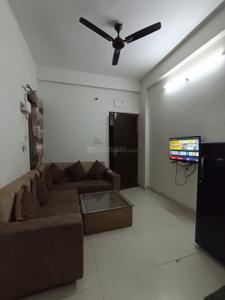 Hall Image of 450 Sq.ft 1 BHK Apartment / Flat for rent in Vijay Nagar Indore for Rs. 20000