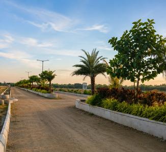 Residential Plot