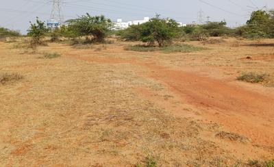 Padmavathi colony  Plot View 1
