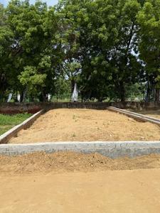 Residential Plot